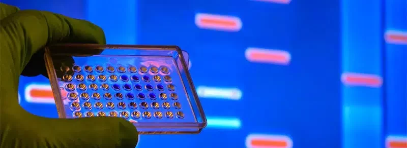 Enhancing Traceability: DNA Testing Solution for Weatherbys